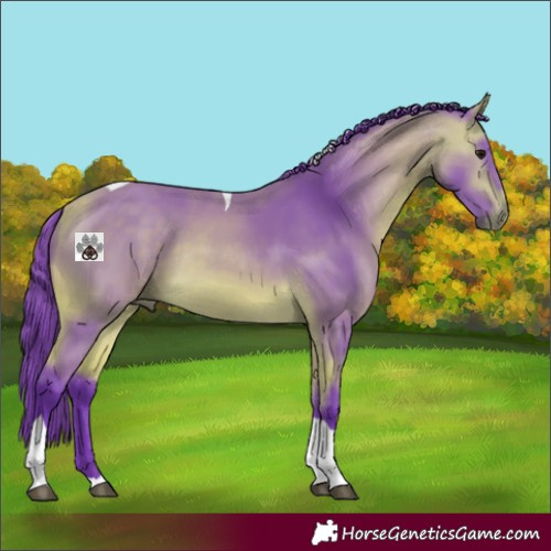 Horse Color:Watercolor Buckskin Tobiano 