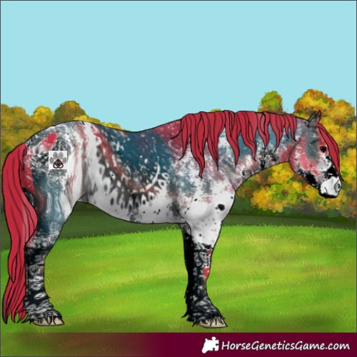 Horse Color:ERROR: UNKNOWN ANOMALY