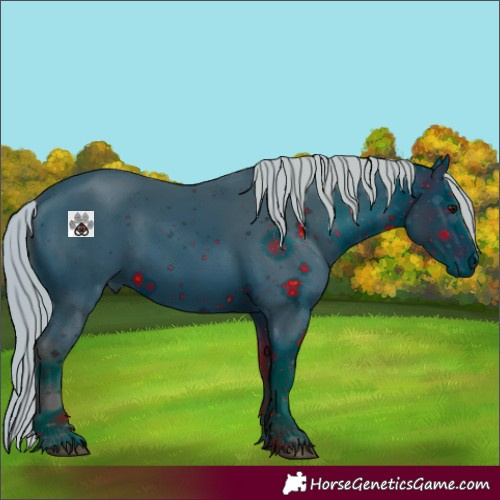 Horse Color:ERROR: UNKNOWN ANOMALY