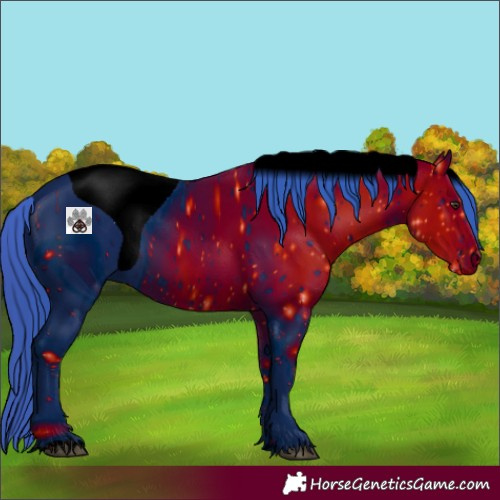 Horse Color:ERROR: UNKNOWN ANOMALY