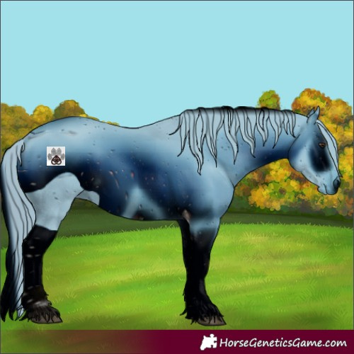 Horse Color:ERROR: UNKNOWN ANOMALY