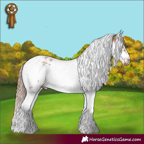 Horse Color:Red Dun Splash Tobiano Frame