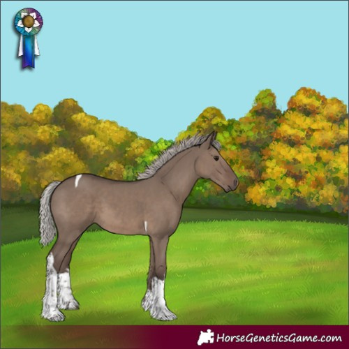 Horse Color:White Spotted Silver Grullo Tobiano 