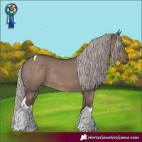 Horse Color:White Spotted Silver Grullo Tobiano 