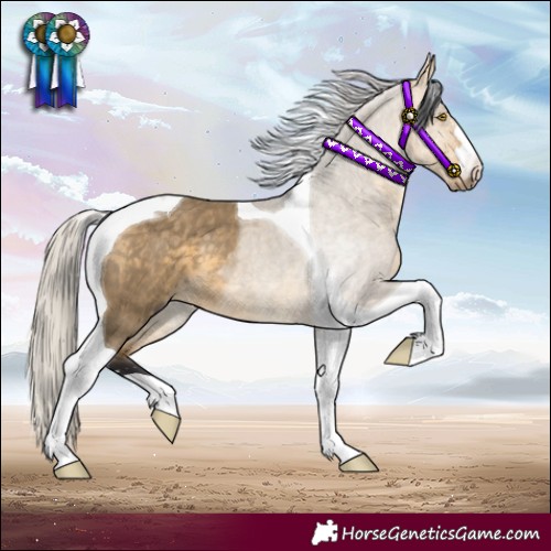Horse Color:Silver Buckskin Dun Tobiano