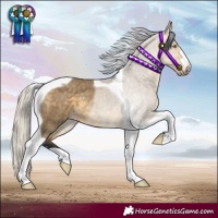 Horse Color:Silver Buckskin Dun Tobiano