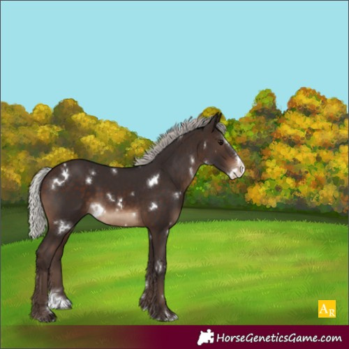 Horse Color:White Spotted Silver Brown Splash 