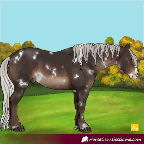 Horse Color:White Spotted Silver Brown Splash