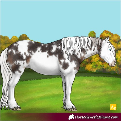 Horse Color:White Spotted Silver Brown Splash 