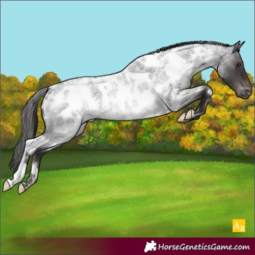 Horse Color:White Spotted Smoky Blue Roan Blanket Rabicano 