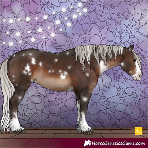 Horse Color:White Spotted Silver Brown Sabino Splash