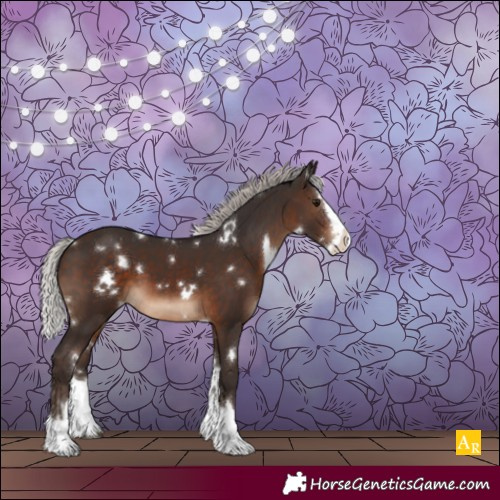 Horse Color:White Spotted Silver Brown Sabino Splash 