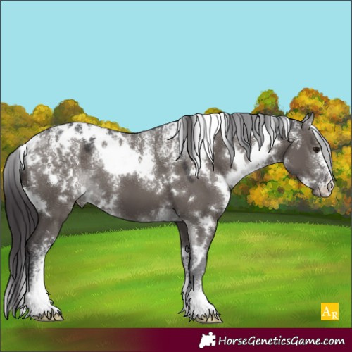 Horse Color:Powder White White Spotted Smoky Grullo 