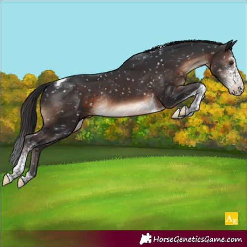 Horse Color:Brown Sabino Tobiano Snowflake Varnish Rabicano