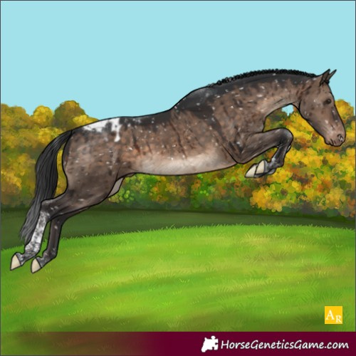 Horse Color:Brown Dun Tobiano Appaloosa Brindle