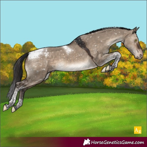 Horse Color:Brown Dun Tobiano Snowflake Varnish