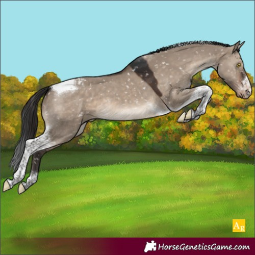 Horse Color:Brown Dun Tobiano Snowflake Varnish 
