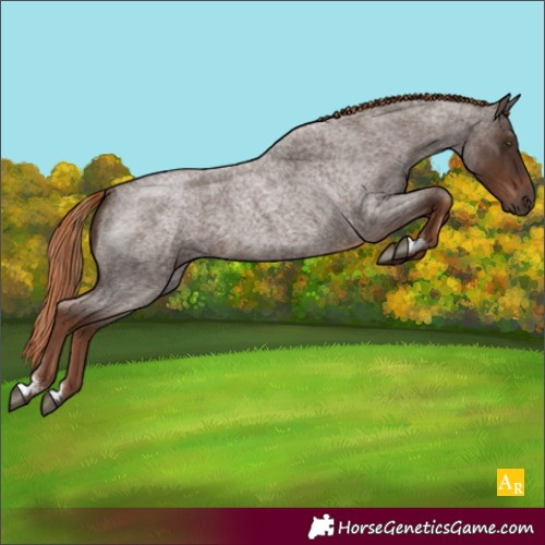 Horse Color:Liver Red Roan