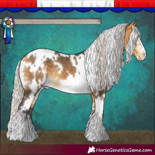 Horse Color:White Spotted Silver Buckskin Appaloosa