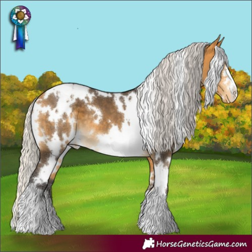 Horse Color:White Spotted Silver Buckskin Appaloosa 