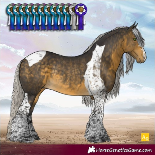Horse Color:Silver Buckskin Tobiano Rabicano
