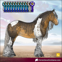 Horse Color:Silver Buckskin Tobiano Rabicano 