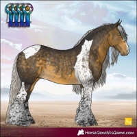 Horse Color:Silver Buckskin Tobiano Rabicano 
