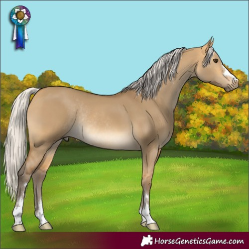 Horse Color:Silver Buckskin Dun Rabicano