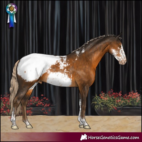 Horse Color:Chocolate Palomino Sabino Frame Appaloosa Rabicano 