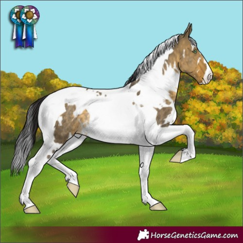 Horse Color:White Spotted Buckskin Dun Tobiano Rabicano 