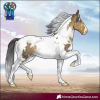 Horse Color:White Spotted Buckskin Dun Tobiano Rabicano 