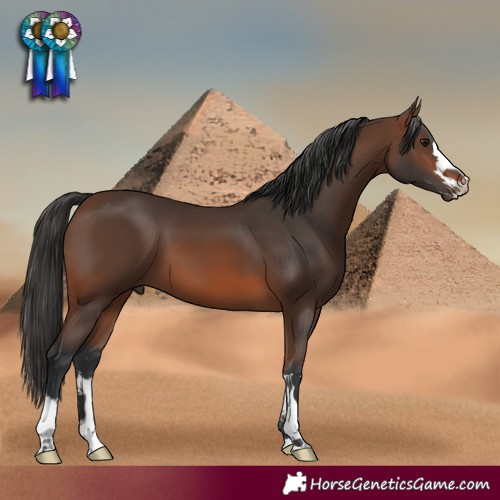 Horse Color:Brown 