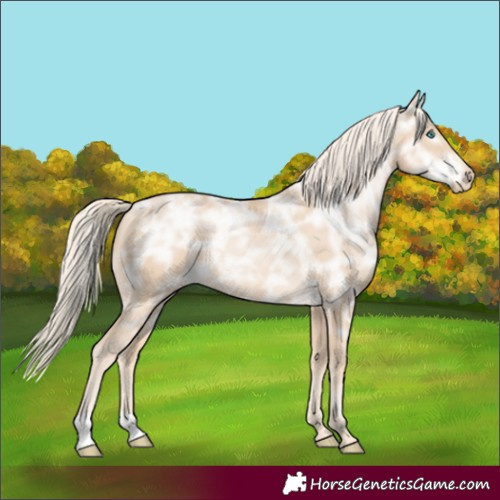Horse Color:Palomino Ice Pearl 