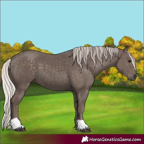 Horse Color:Silver Black 