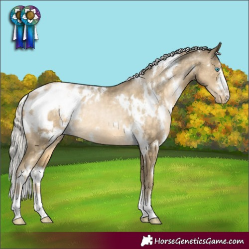 Horse Color:White Spotted Silver Buckskin Pearl Blanket Rabicano