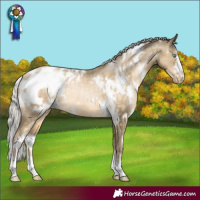 Horse Color:White Spotted Silver Buckskin Pearl Appaloosa Rabicano