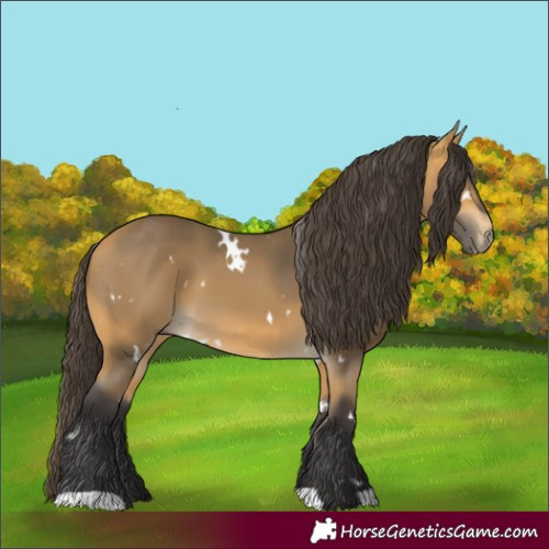 Horse Color:White Spotted Buckskin 