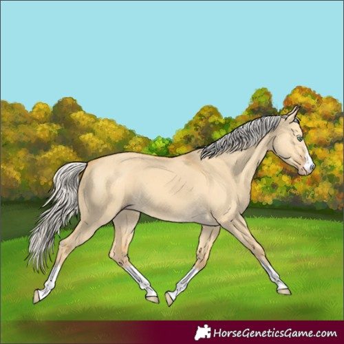 Horse Color:Silver Amber Cream Champagne Dun