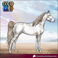 Horse Color:Chocolate Palomino Roan Sabino Frame Appaloosa