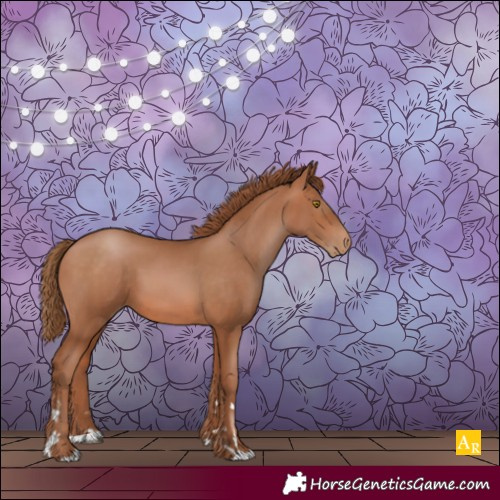 Horse Color:Brown Pearl