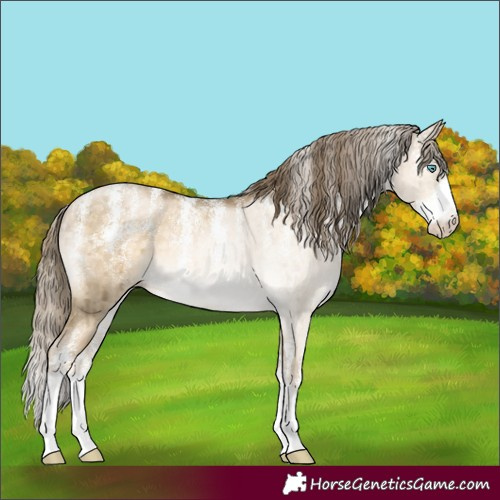 Horse Color:Powder White Buckskin Pearl Dun Brindle 