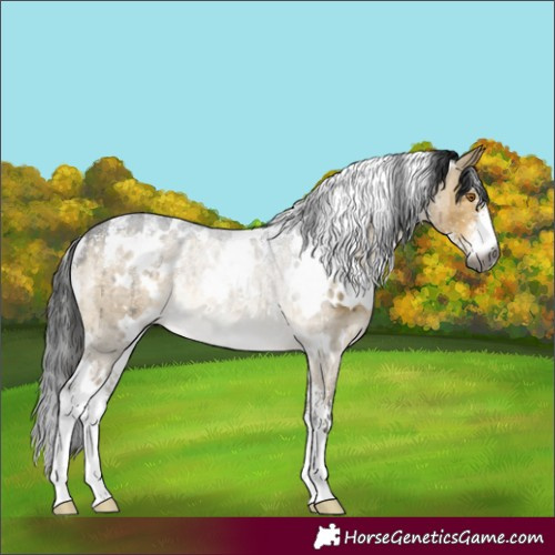 Horse Color:Powder White Gray White Spotted Buckskin Dun Rabicano Brindle