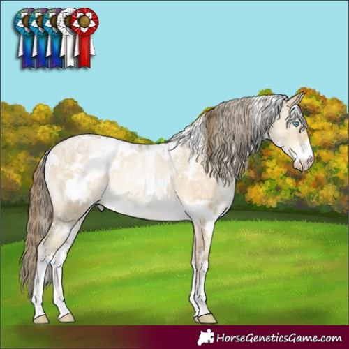 Horse Color:Powder White White Spotted Buckskin Pearl Dun Rabicano Brindle 