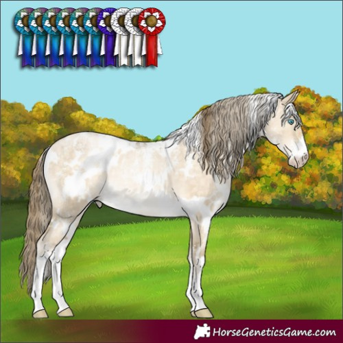 Horse Color:Powder White White Spotted Buckskin Pearl Dun Rabicano Brindle 