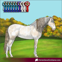 Horse Color:Powder White White Spotted Buckskin Pearl Dun Rabicano Brindle