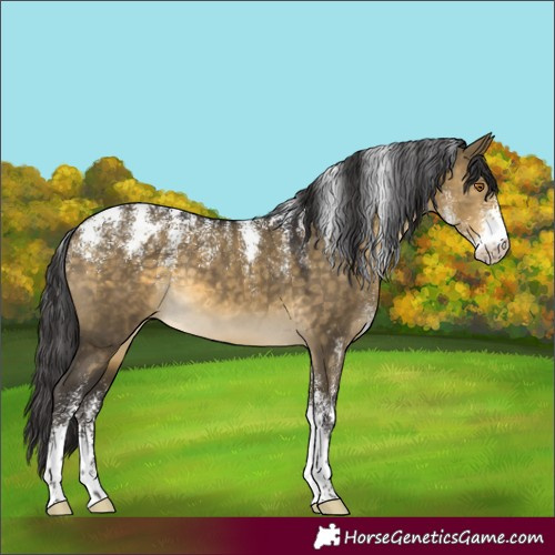 Horse Color:Powder White Buckskin Dun