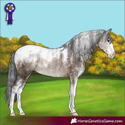 Horse Color:Powder White Brown Dun Rabicano Brindle 