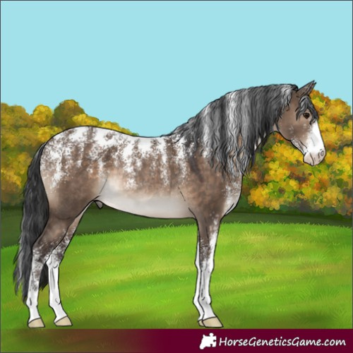 Horse Color:Powder White Brown Dun Rabicano