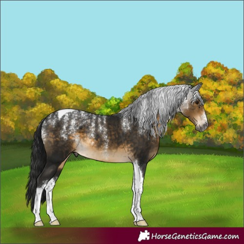 Horse Color:Powder White Gray Buckskin Tobiano 