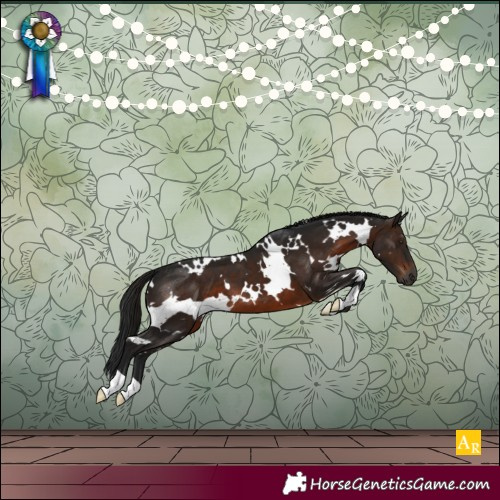 Horse Color:Gray White Spotted Brown 